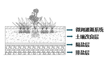 中国·304永利(集团有限公司)-官方网站